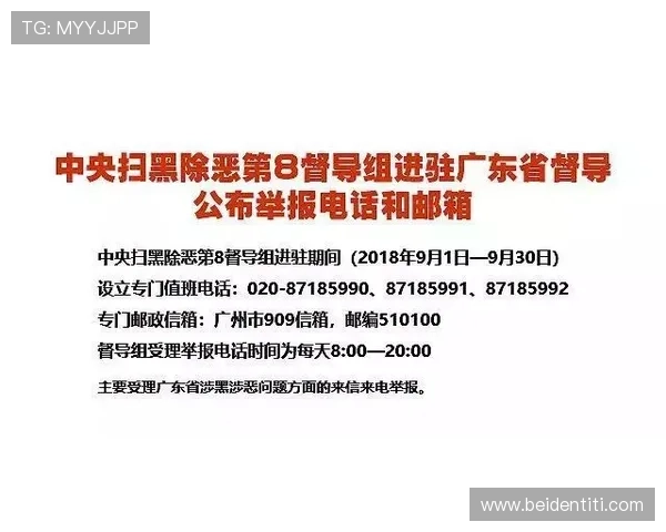 尊龙D88游戏官网入口：官方入口的安全验证流程与用户登录保障措施