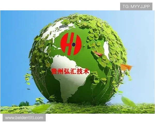 尊龙凯时体育域名续费提醒与管理技巧确保域名不丢失